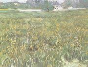 Vincent Van Gogh Wheat Field at Auvers with White House (nn04) oil painting reproduction